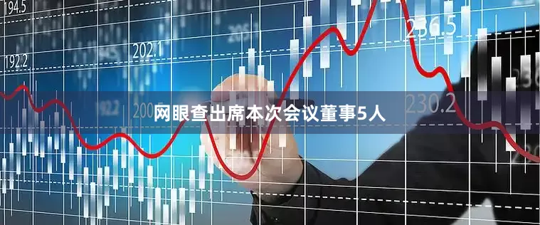 网眼查出席本次会议董事5人