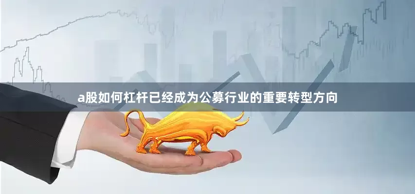 a股如何杠杆已经成为公募行业的重要转型方向