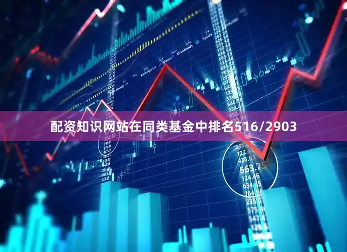 配资知识网站在同类基金中排名516/2903