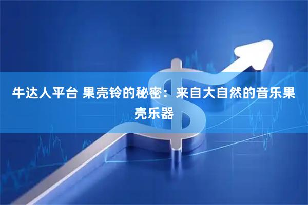 牛达人平台 果壳铃的秘密：来自大自然的音乐果壳乐器